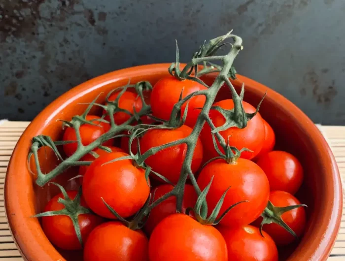 quand repiquer les tomates un bol de tomates cerises rouges