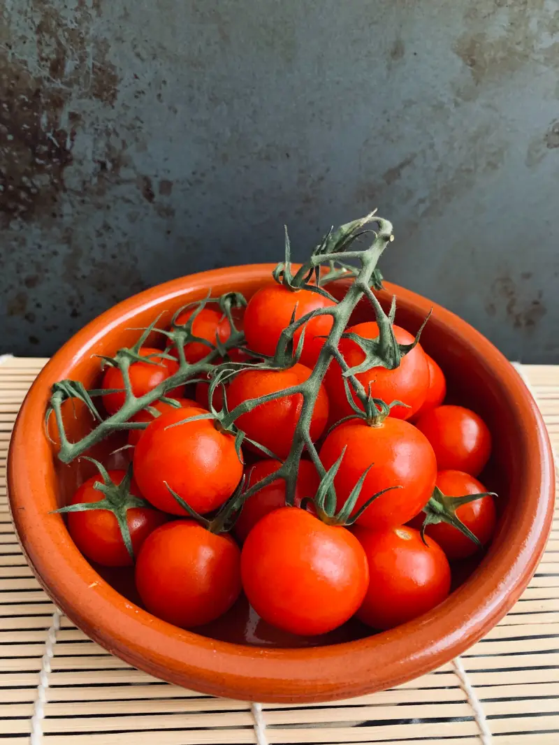 quand repiquer les tomates un bol de tomates cerises rouges