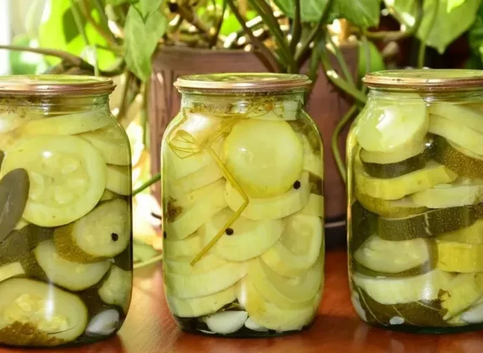 récolte abondante que faire avec beaucoup de courgettes anti gaspillage alimentaire