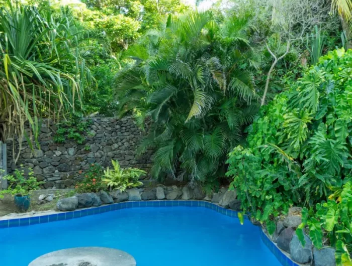 rocaille et plantes ecxotiques autour d une piscine que mettre autour d une piscine