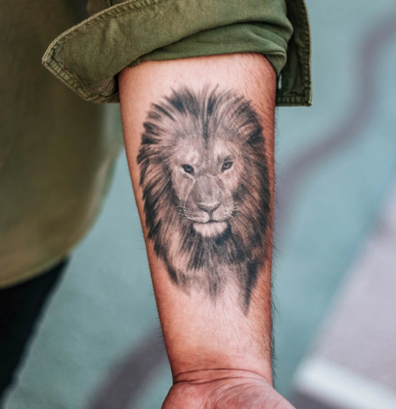 tatouage homme lion dessin corp encre noir symbole