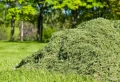 Que faire de l’herbe tondue dans le jardin ? Ne jetez pas ce trésor végétal !