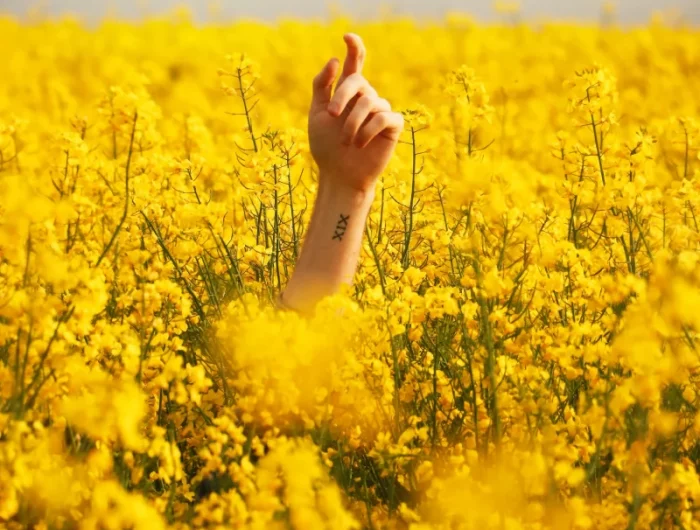 un champs avec des fleurs jaunes et une main