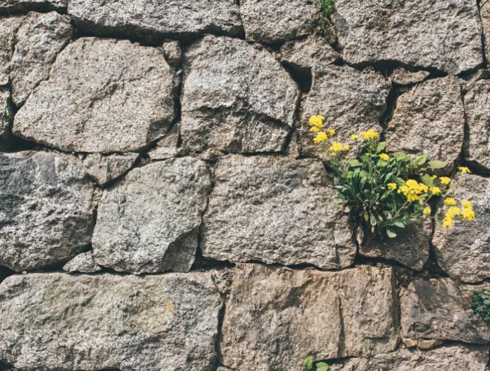 un mur de pierre avec une fleur au milieu