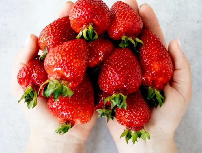 une main qui tient des fraises rouges