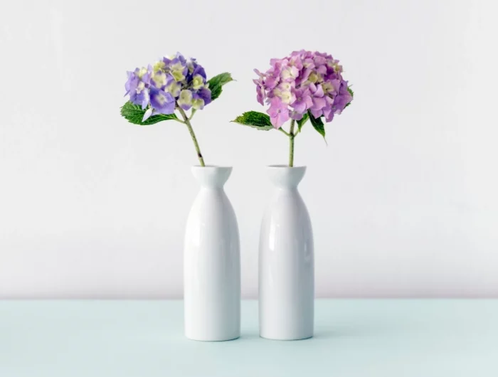 vase blanc tige hydrangea plante fleurs boules