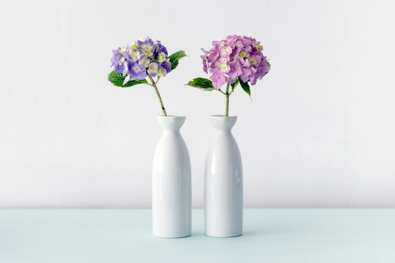 vase blanc tige hydrangea plante fleurs boules