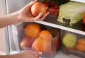 Comment conserver les pommes après la cueillette pour en profiter pendant plusieurs mois ?