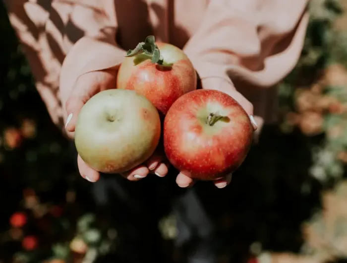 comment conserver les pommes queue en l air ou en bas