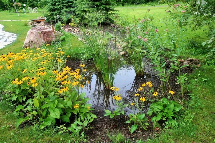 comment évacuer l'eau de à la surface d'un terrain jardin fleurs jaunes alle