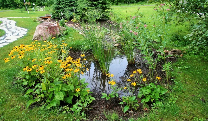 comment évacuer l'eau de à la surface d'un terrain jardin fleurs jaunes alle