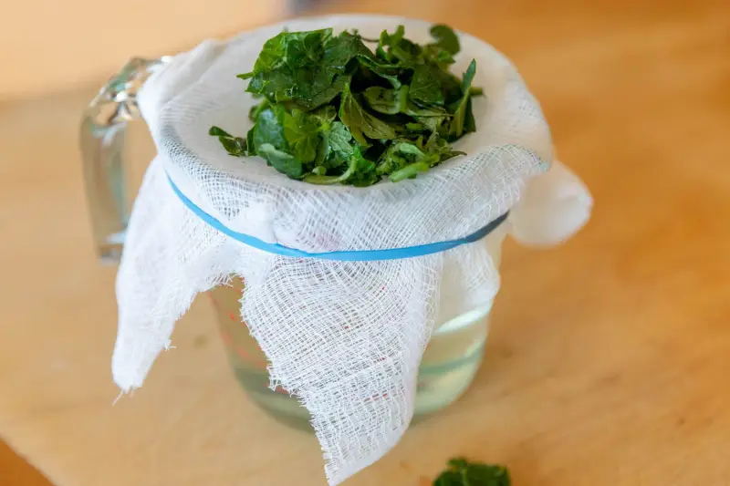 comment faire le purin de feuilles de tomates dans une verre