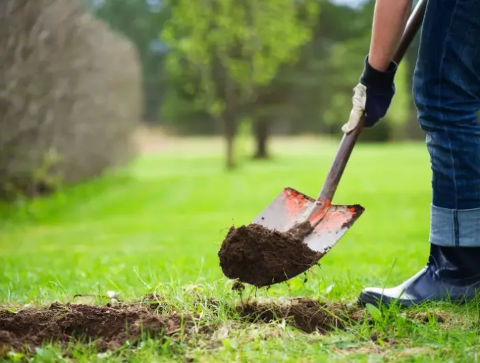 comment reparer la pelouse un trou dans la cour