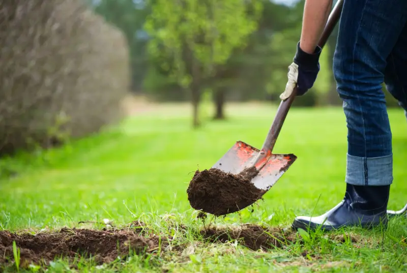 comment reparer la pelouse un trou dans la cour