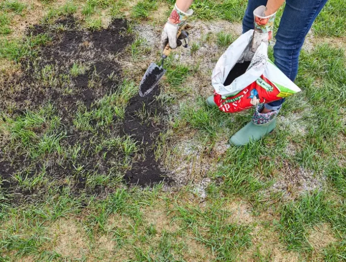 comment reparer une pelouse abimee remplir un trou de terreau
