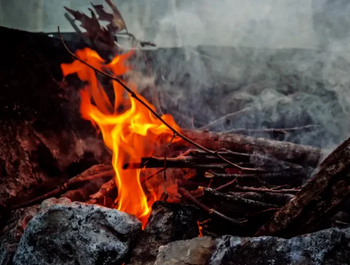 comment savoir si le bois est bon fumier autour du feu