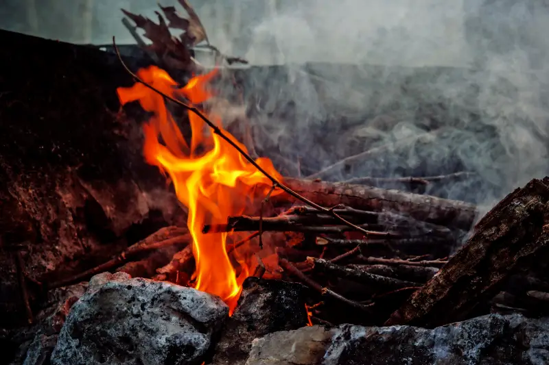 comment savoir si le bois est bon fumier autour du feu