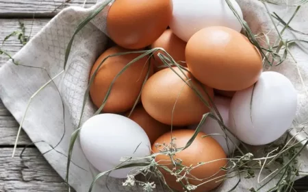 diffеrence entre les œufs blancs et bruns un tas d oeufs blancs et bruns