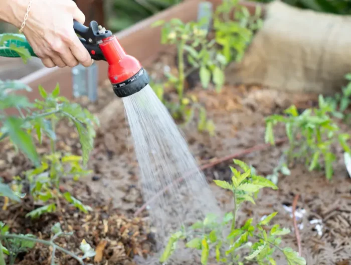 ou evacuer l eau de la piscine arroser les plantes