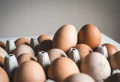 Pourquoi ne pas laver les œufs ou comment le faire sans danger au cas échéant ?