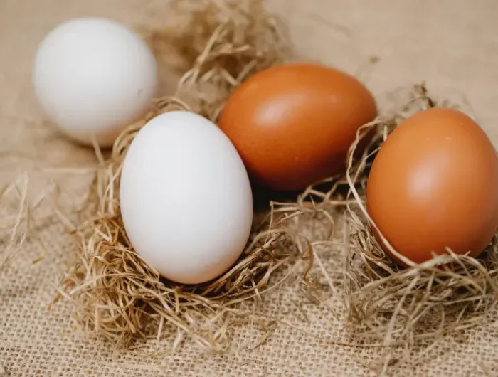 pourquoi les americains ont des œufs blancs deux oeufs blancs et deux oeufs bruns