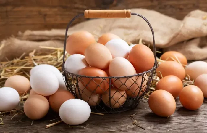 pourquoi les œufs bruns sont plus chers un panier d oeufs