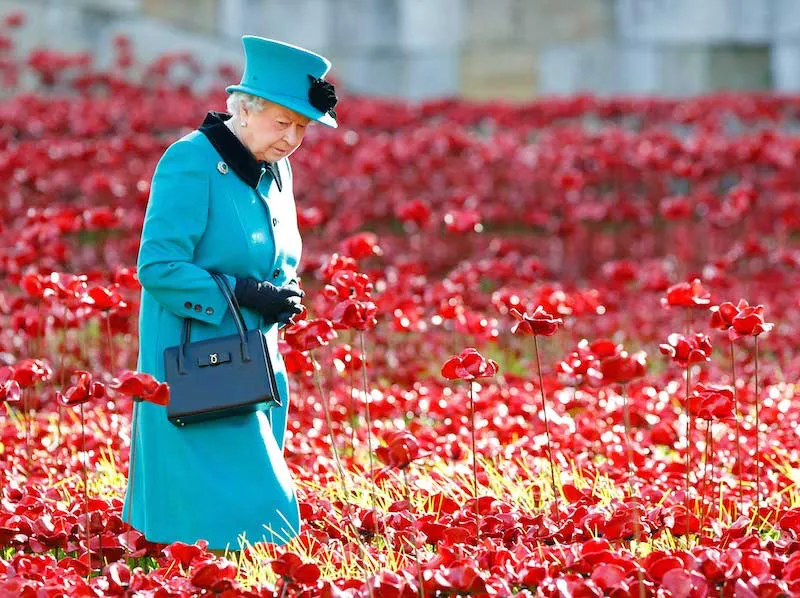 chapeau reine elisabeth en bleu ciel traverse un jardin en rouge