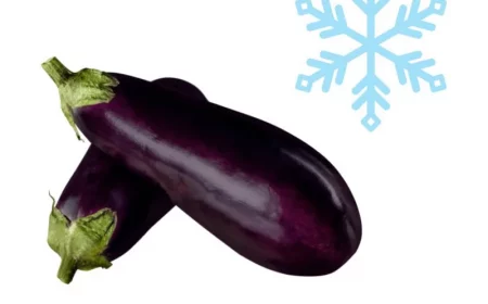 comment congeler des aubergies crues ou cuites astuce conservation aubergines