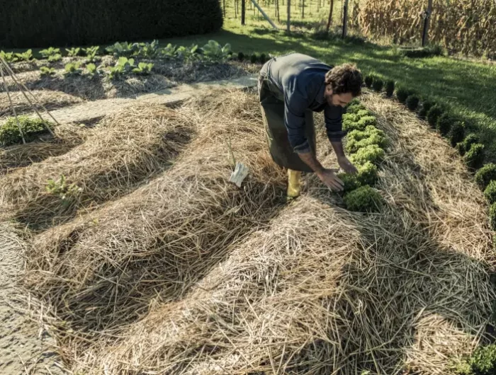 comment creer un potager en permaculture pailler le jardin