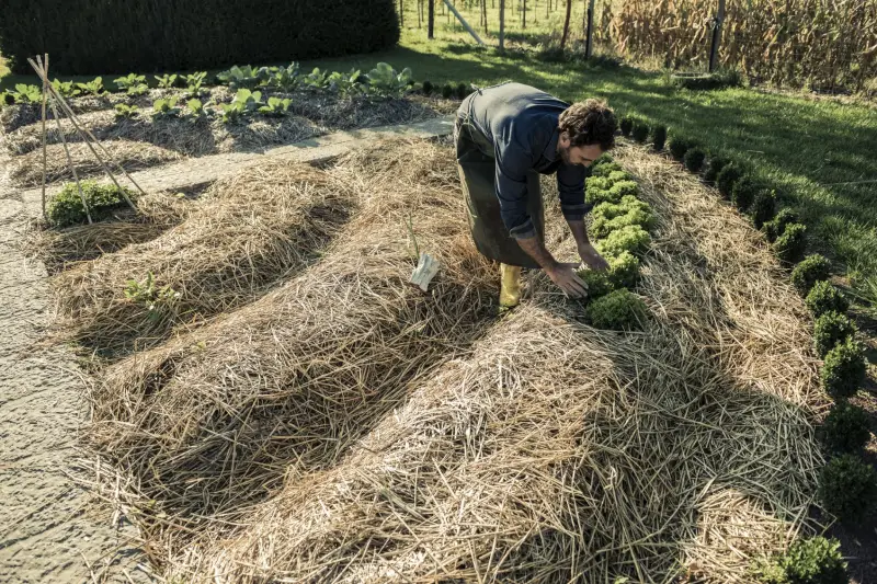 comment creer un potager en permaculture pailler le jardin