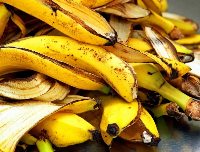 comment faire de l'engrais pour un citronnier peau de bananes