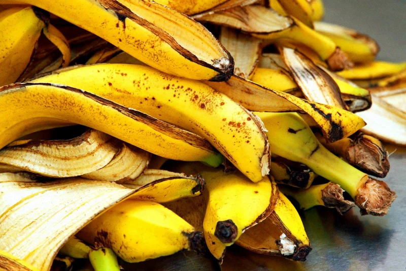 comment faire de l'engrais pour un citronnier peau de bananes