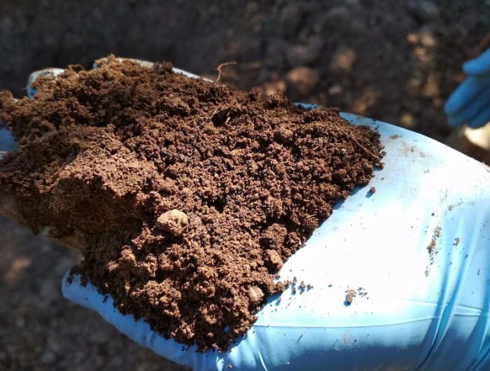 comment semer le gazon a main comment faire main dans le sol