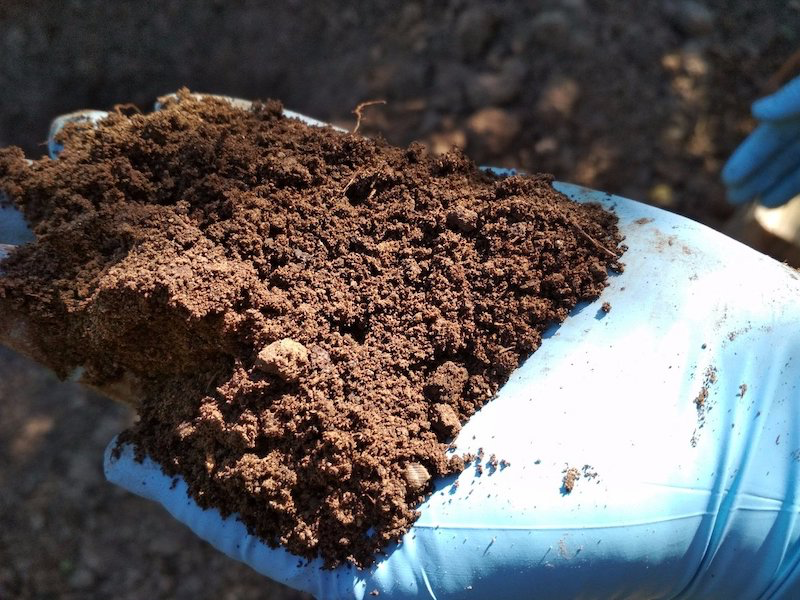 comment semer le gazon a main comment faire main dans le sol