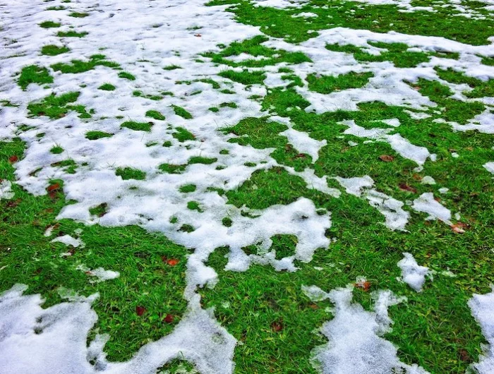 comment semer le gazon ala main bien gazon en neige