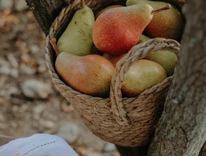 comment utiliser le sirop de fruit poires paniers arbre tournesol