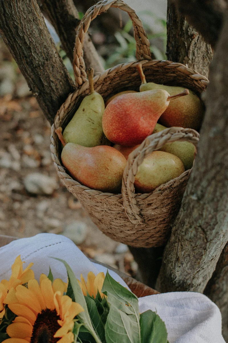 comment utiliser le sirop de fruit poires paniers arbre tournesol