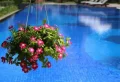 Peut-on vider l’eau de la piscine dans le jardin sans danger ?