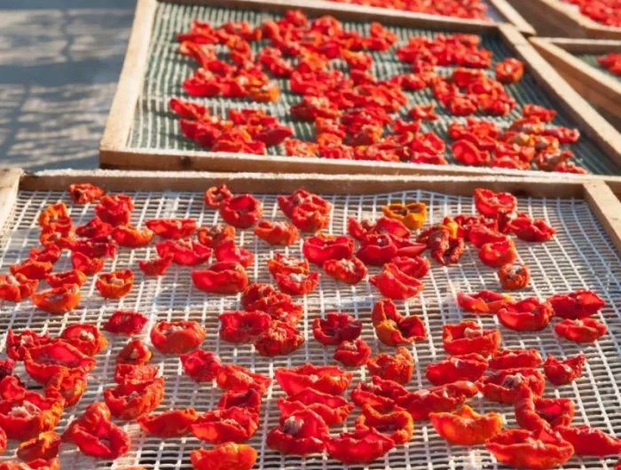 commentfaire sécher ses tomates au soleil méhode séchage à l air libre