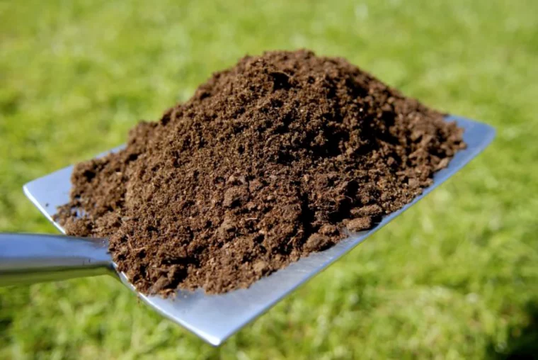 compost sur une pelle mataliquue bonne pour les geraniums