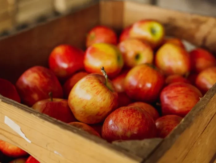 cueillette des pommes comment conserver des fruits longtemps après récolte