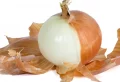 Quels sont les meilleurs engrais bio liquides pour le potager faits maison ? Efficaces, rapides, gratuits