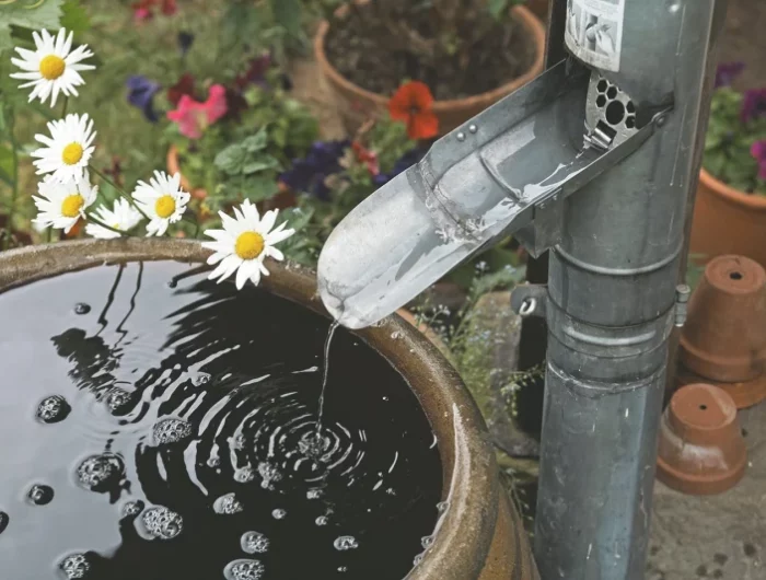 evacuation eau de pluie fleurs gouttière pots
