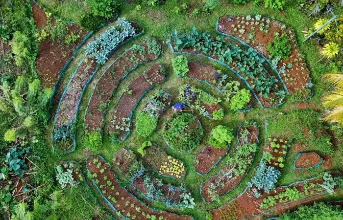 faire un potager en hauteur un jardin en permaculture vu de haut