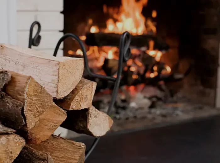le frene est il un bon bois de chauffage un tas de bois devant la cheminee