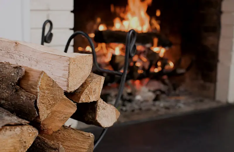 le frene est il un bon bois de chauffage un tas de bois devant la cheminee
