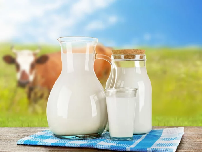 oidium laurier palme comment faire lait en garafe vache au fond