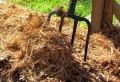 Peut-on laisser les bulbes de dahlias en terre durant hiver ? Les bonnes pratiques