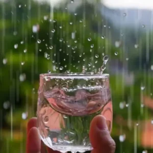 Comment filtrer l'eau de pluie pour la rendre potable - 4 astuces prouvées !