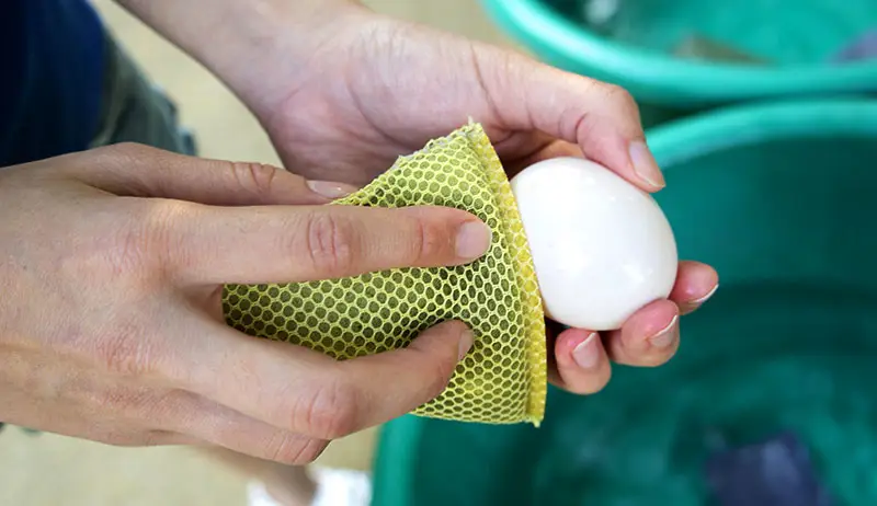 ¿Se pueden lavar los huevos con papel de lija?
